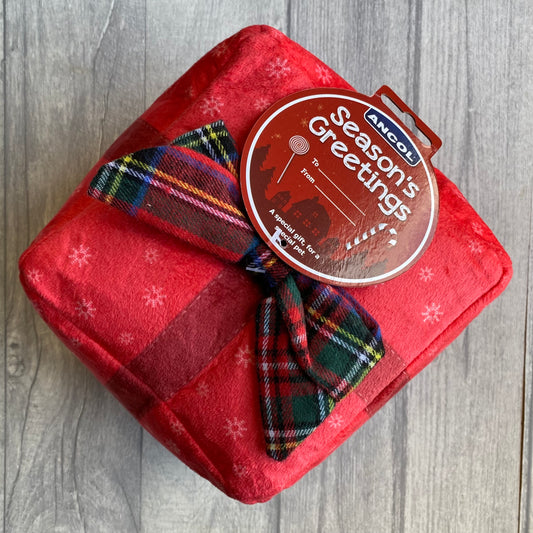 Present Christmas Toy