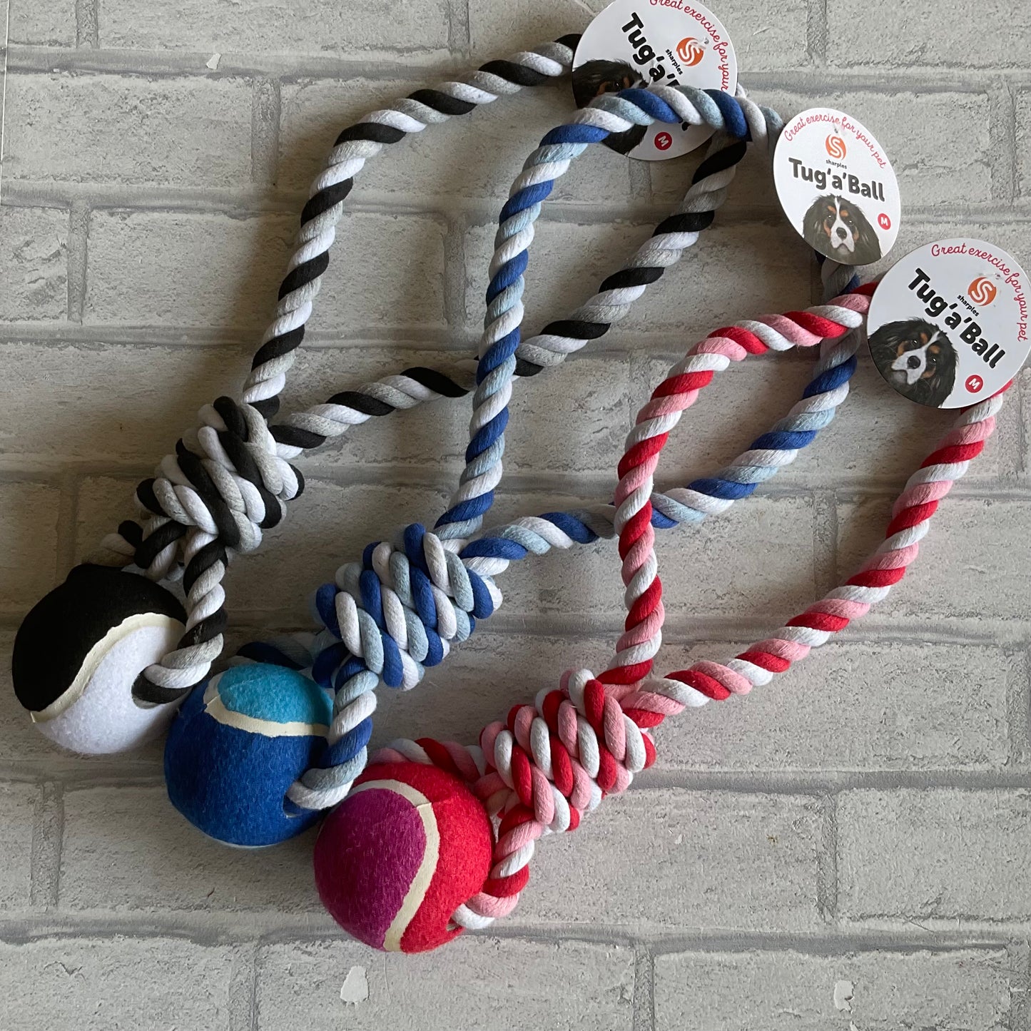 Tug ‘a’ Ball Toy