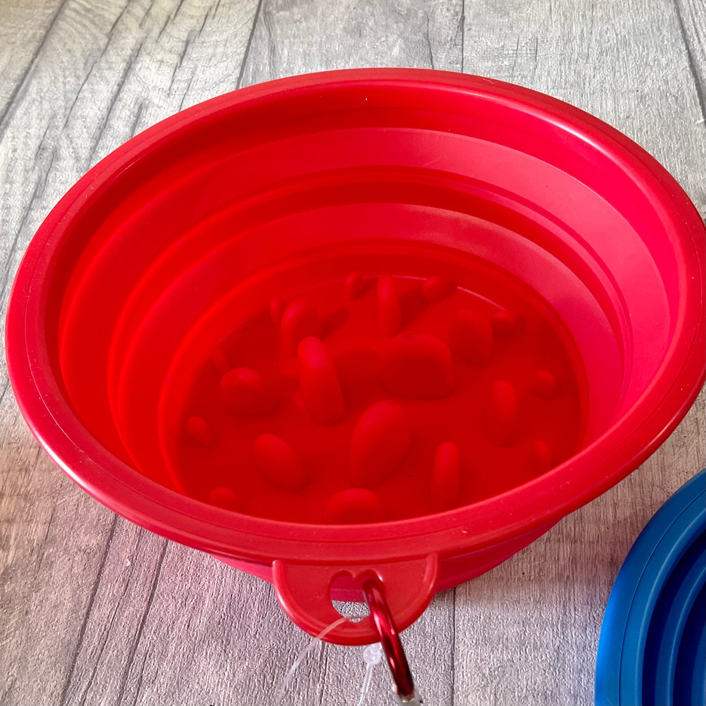 Slow Feeder Travel Bowl