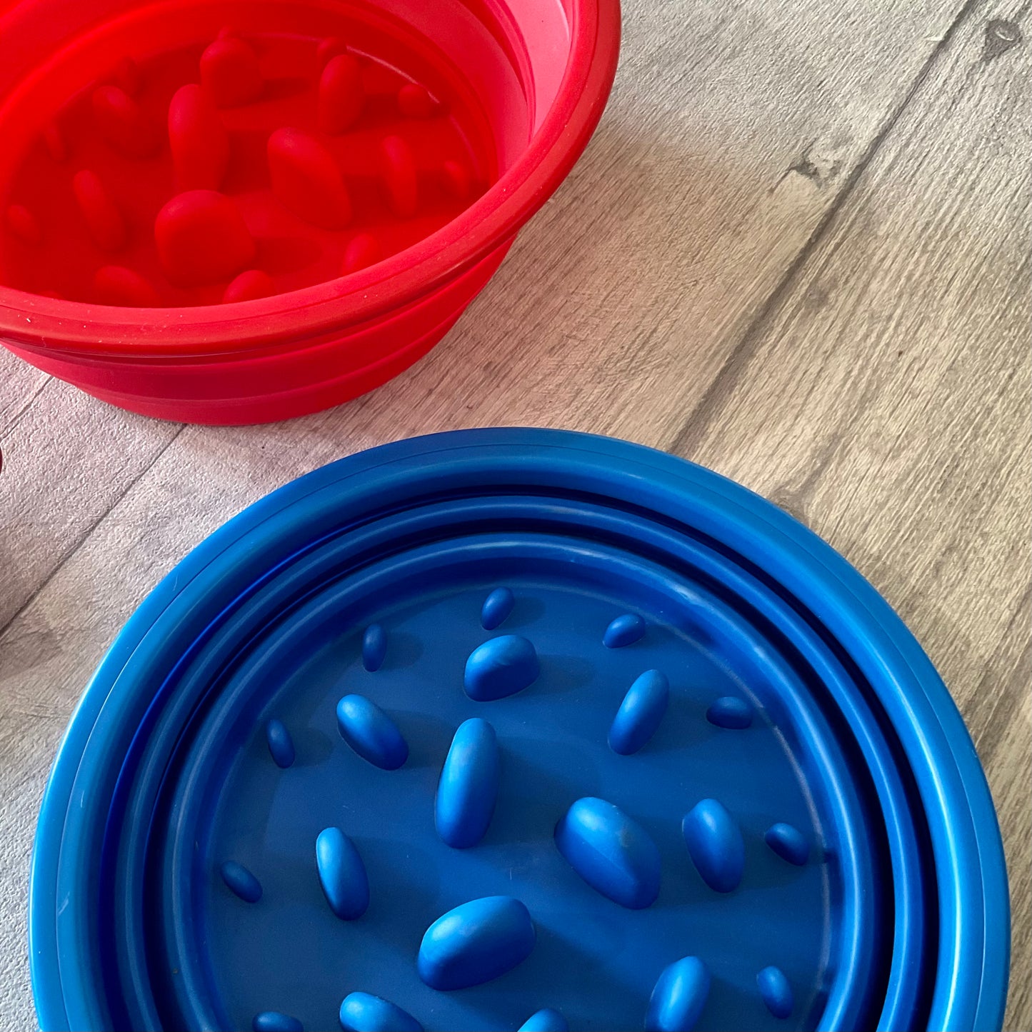 Slow Feeder Travel Bowl