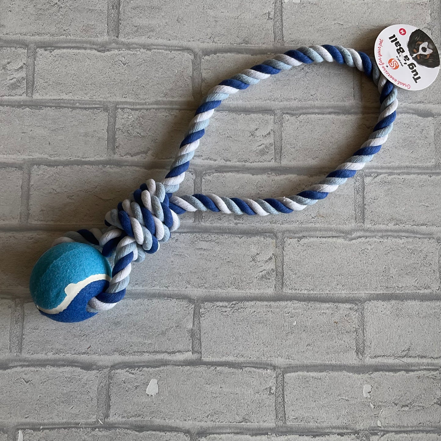 Tug ‘a’ Ball Toy