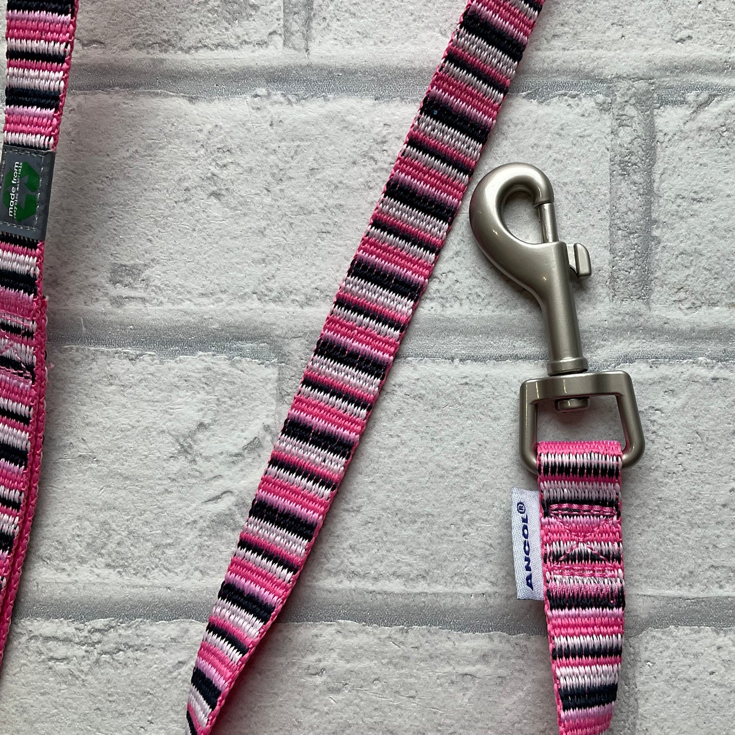 Hot Pink Candy Stripe Lead
