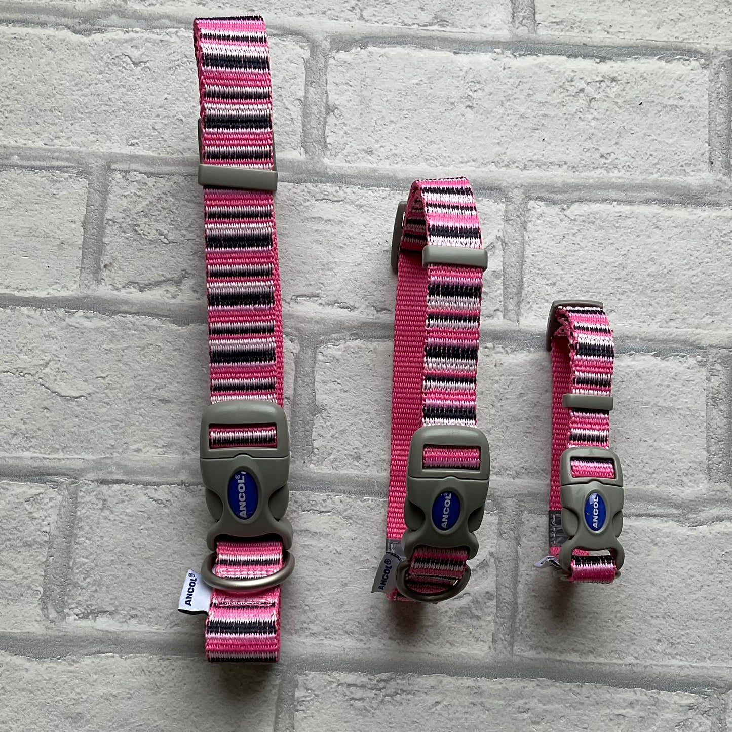 Hot Pink Candy Stripe Collar
