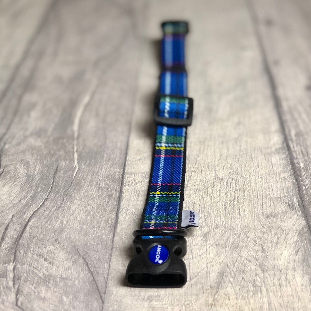 Blue Tartan Collar
