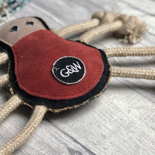 Spike the Spider - Green and Wilds