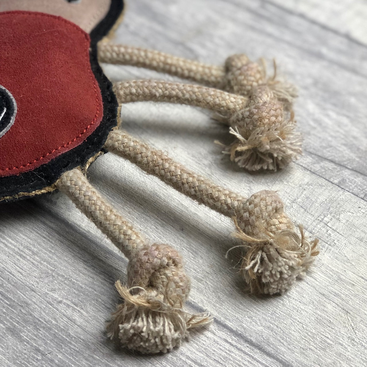 Spike the Spider - Green and Wilds