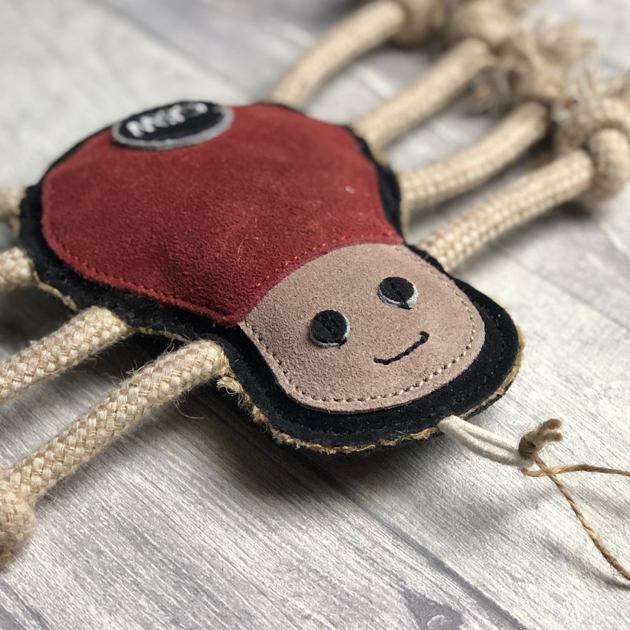 Spike the Spider - Green and Wilds