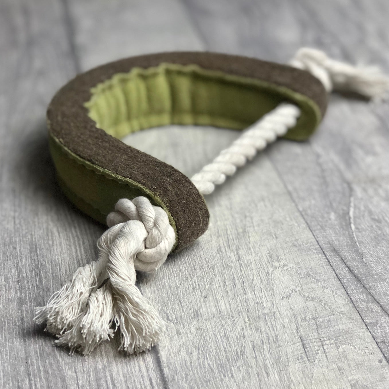 Push Me, Pull Me Dog Toy - Green and Wilds