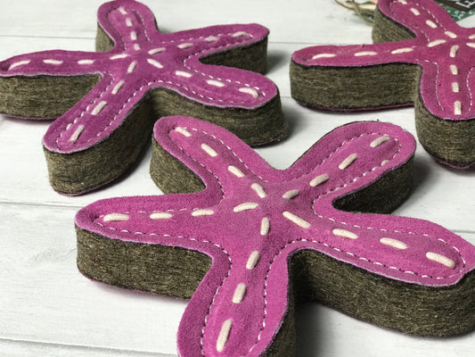 Stanley the Starfish Eco Dog Toy - Green and Wilds