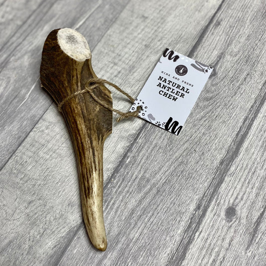 Mina and Frens Antler Chews