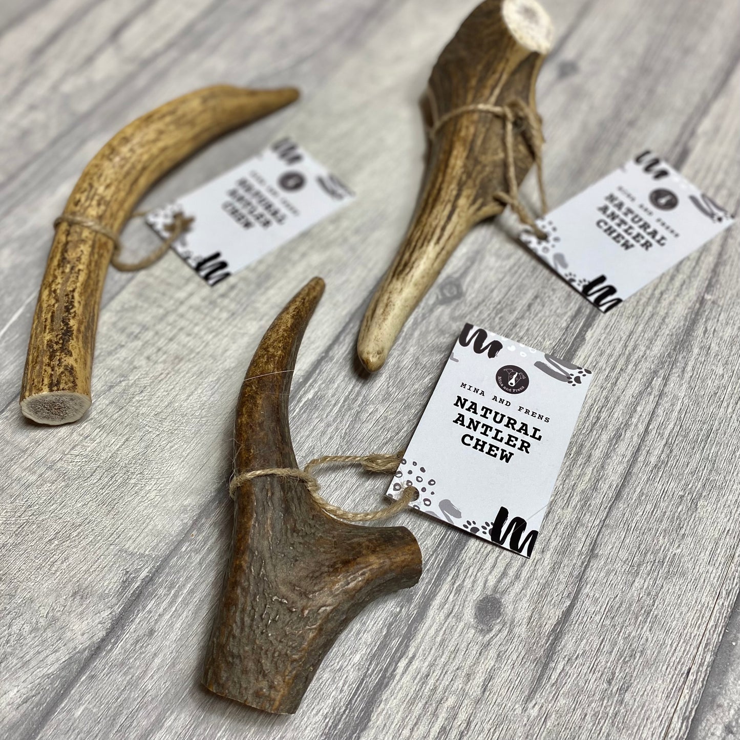 Mina and Frens Antler Chews