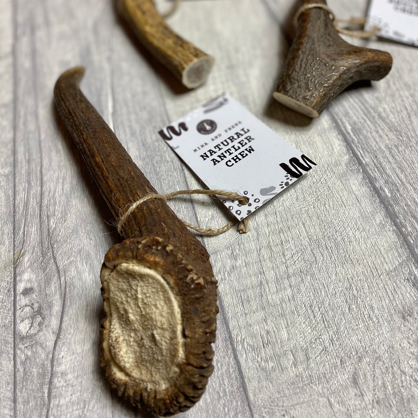 Mina and Frens Antler Chews