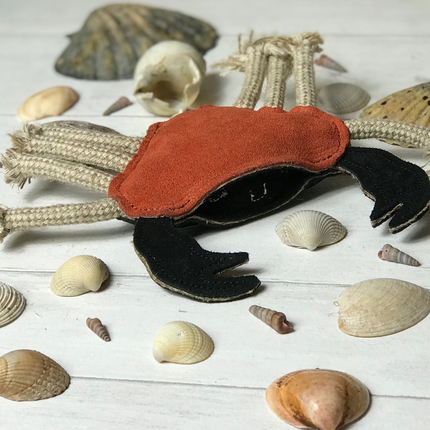 Carlos the Crab Eco Dog Toy - Green and Wilds