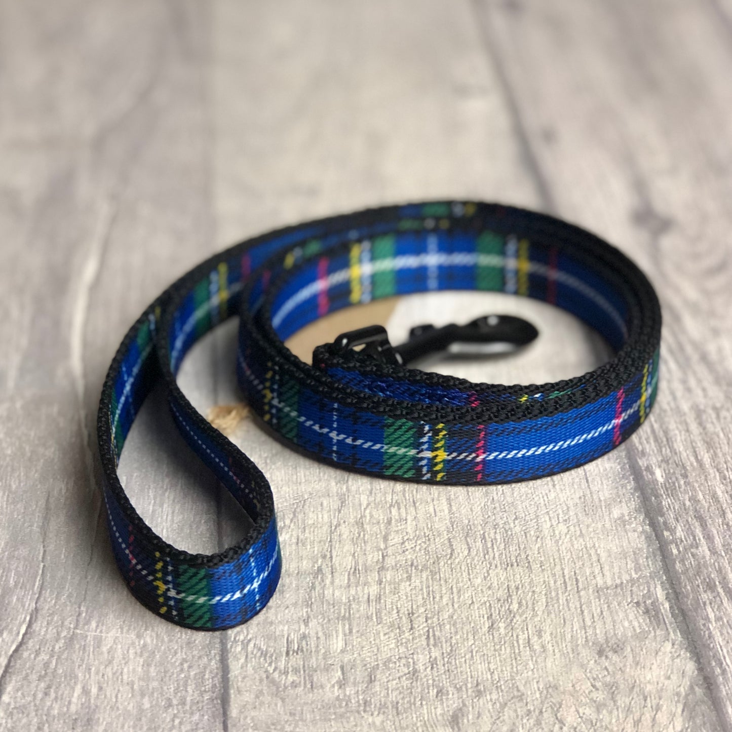 Blue Tartan Lead