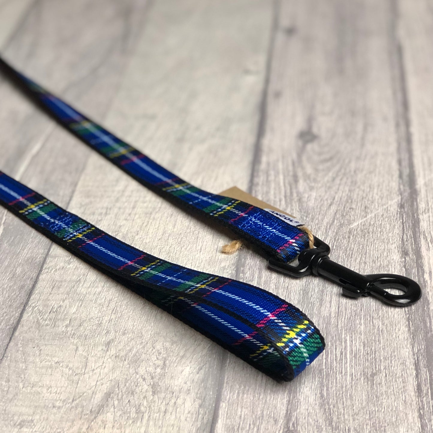 Blue Tartan Lead