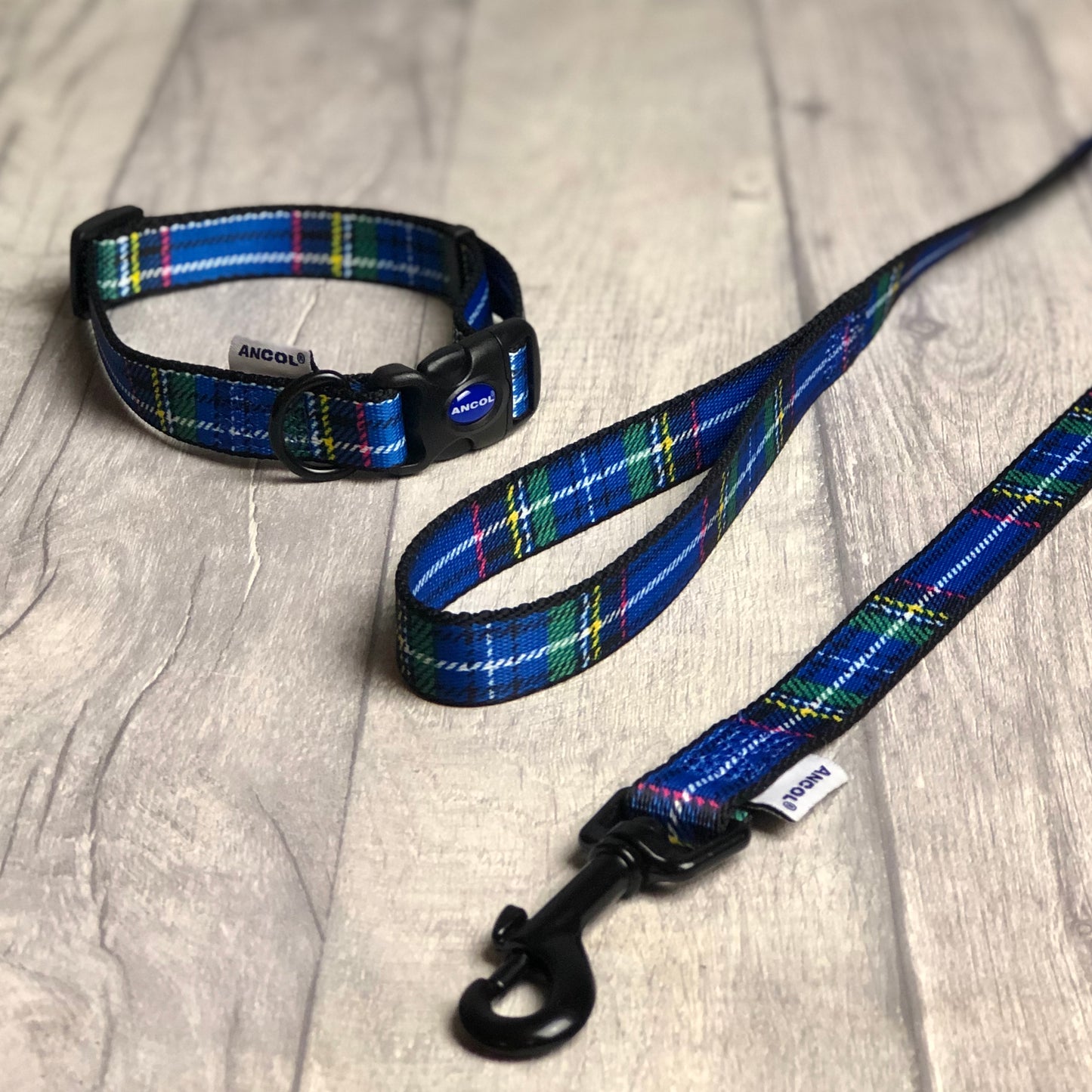 Blue Tartan Lead