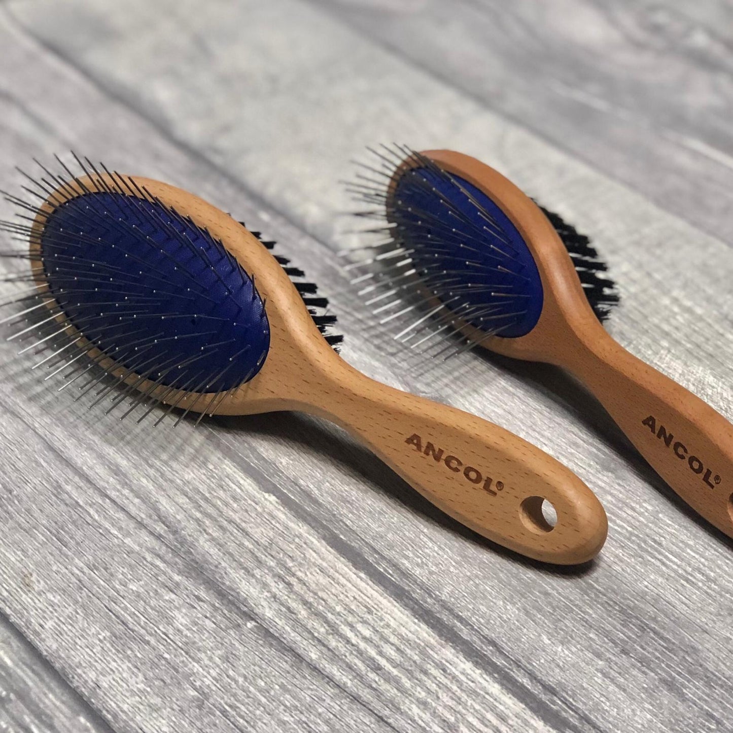 Double Sided Brush