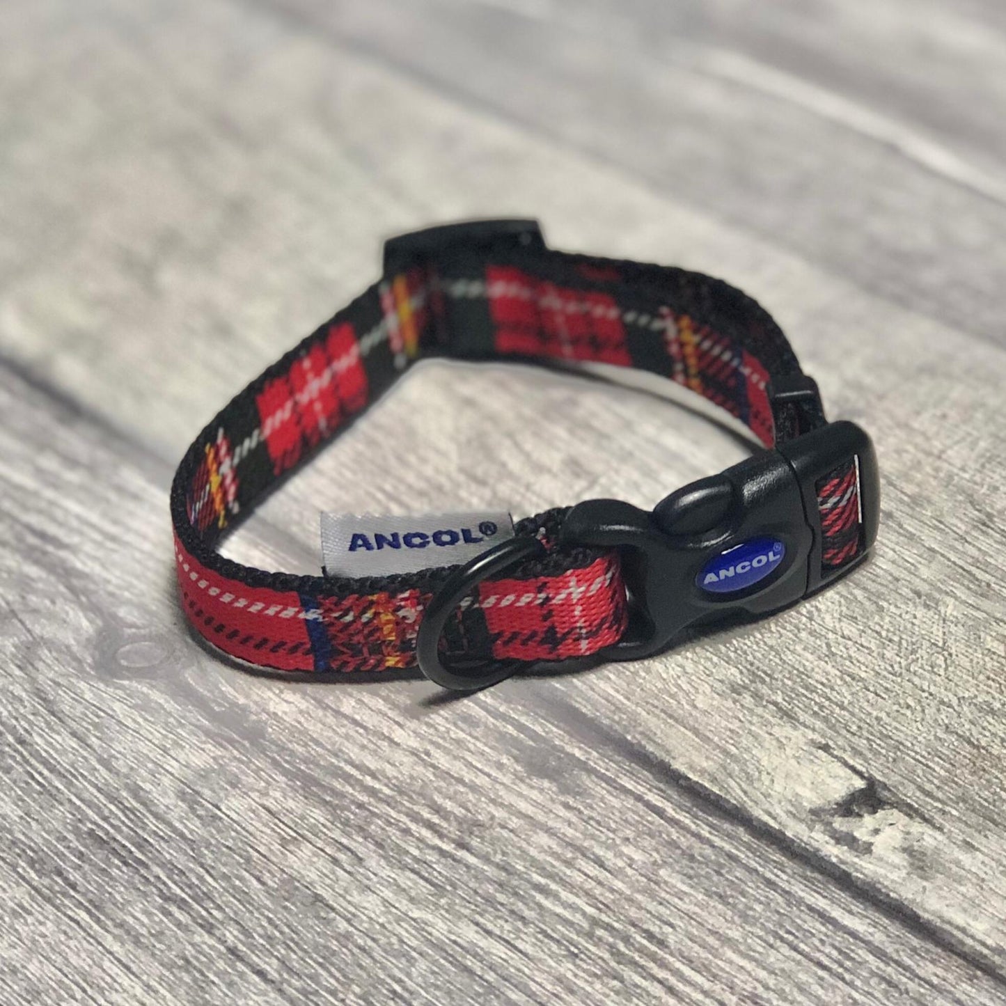Puppy Collar 20-30cm