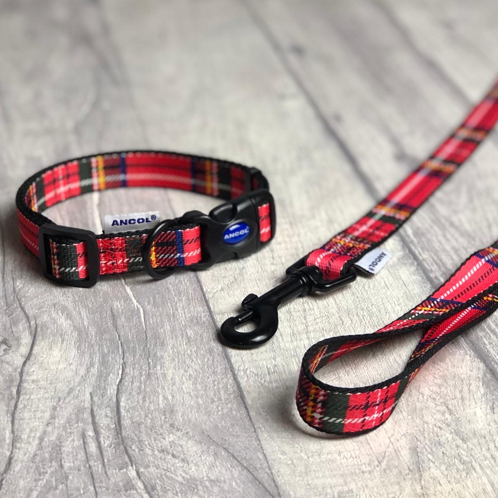Red Tartan Lead