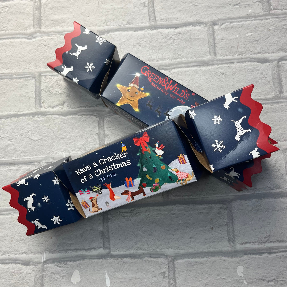 Christmas Cracker for Dogs - Green & Wilds