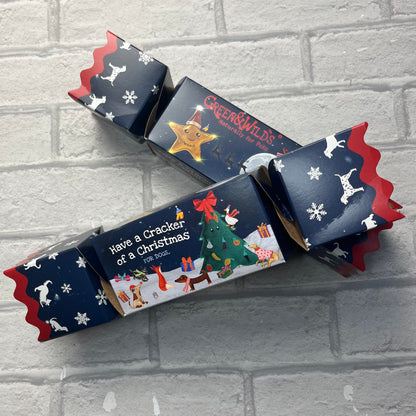 Christmas Cracker for Dogs - Green & Wilds