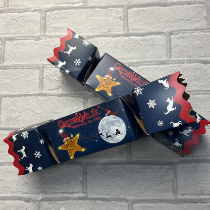 Christmas Cracker for Dogs - Green & Wilds