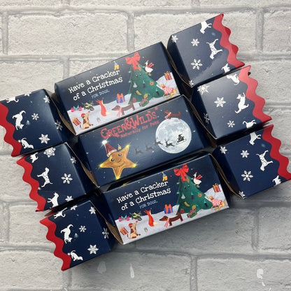 Christmas Cracker for Dogs - Green & Wilds