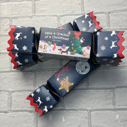 Christmas Cracker for Dogs - Green & Wilds