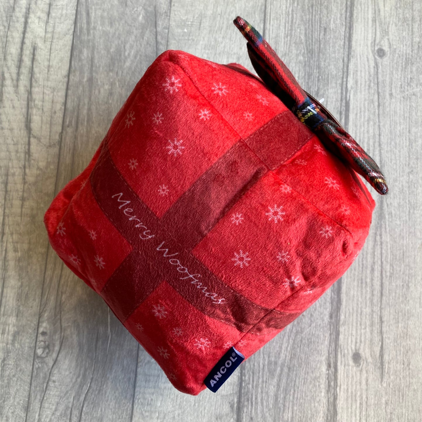 Present Christmas Toy