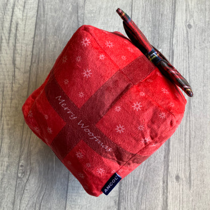 Present Christmas Toy