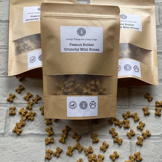 Mina and Frens Peanut Butter Crunchy Mini Bones Dog Treats