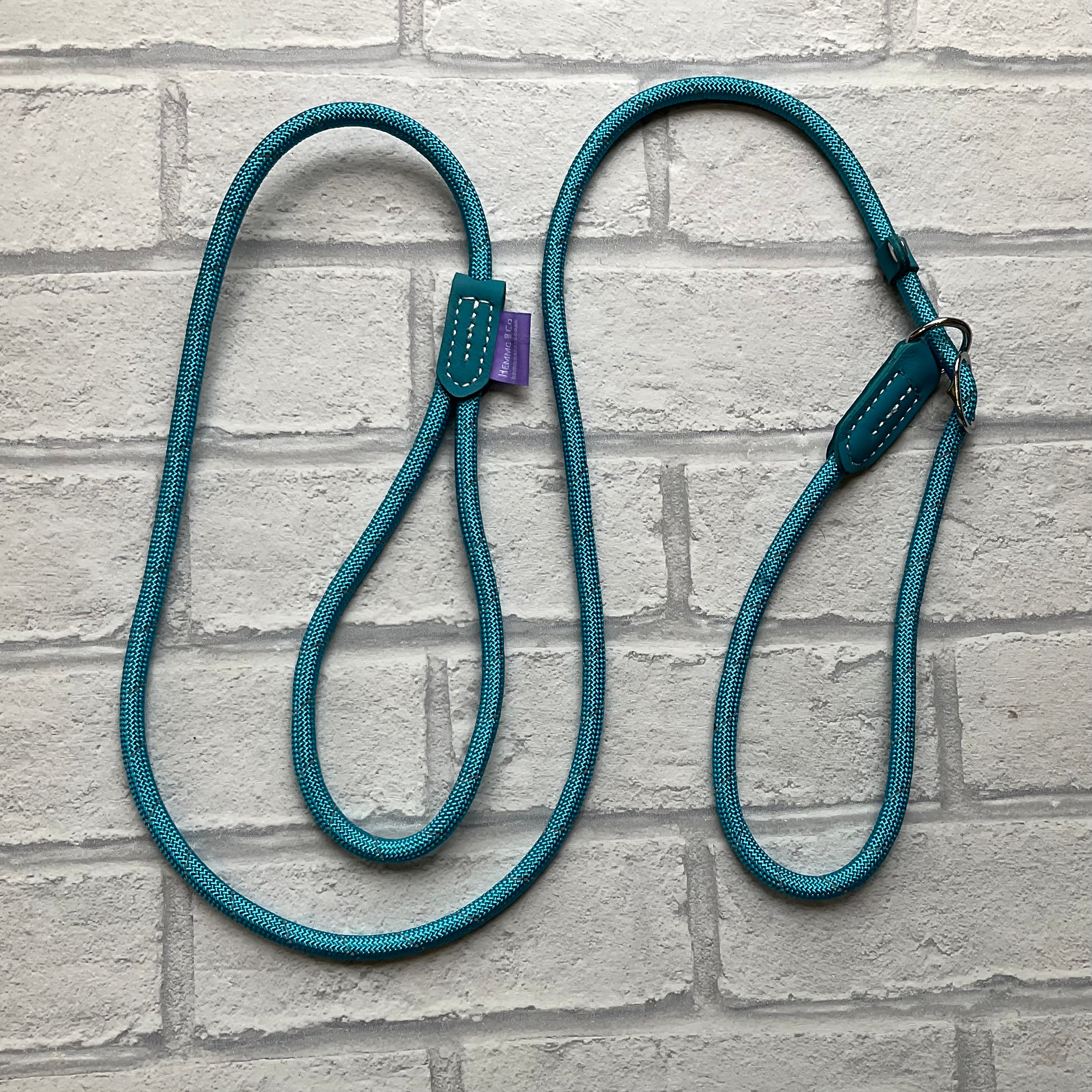 Turquoise Reflective Slip Lead