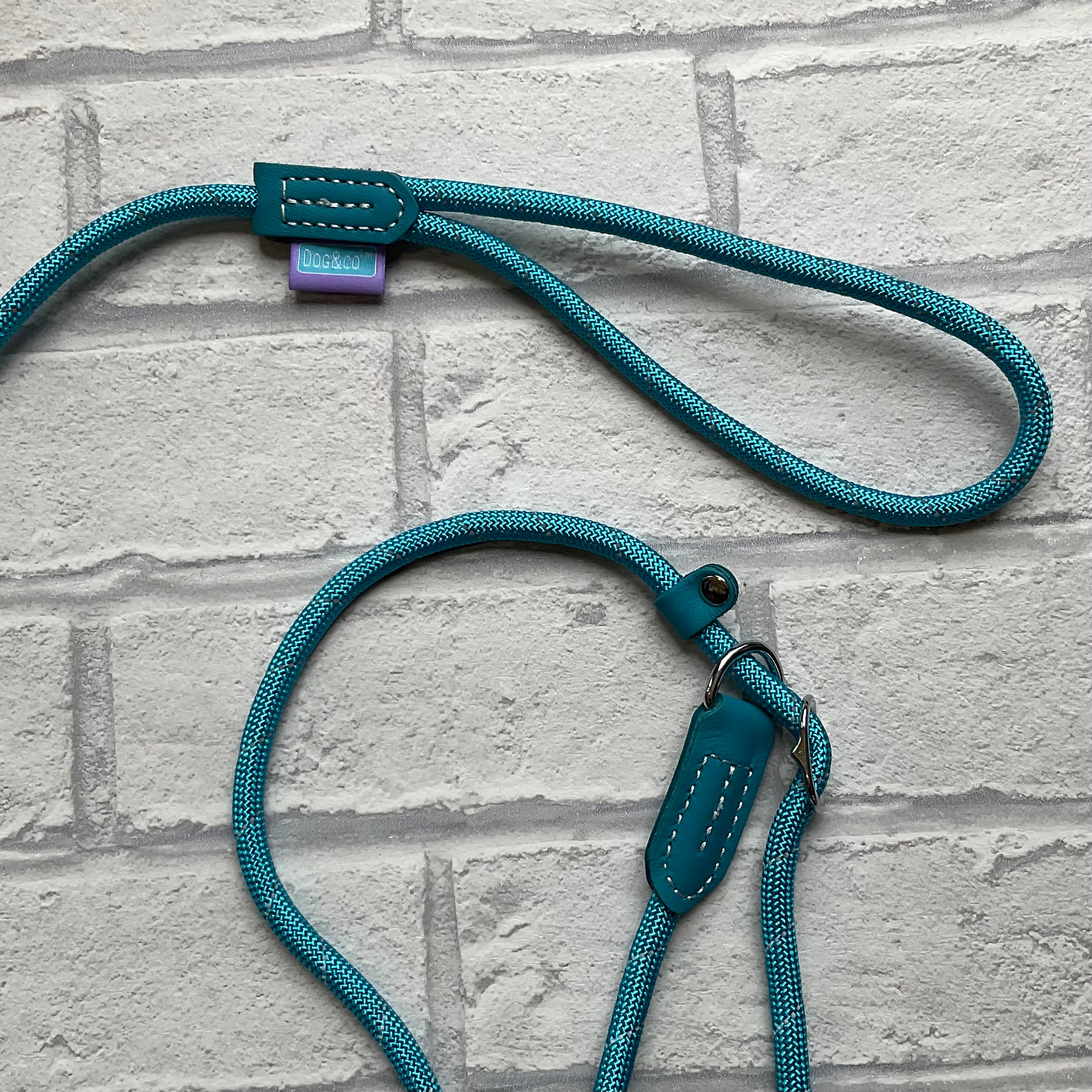 Turquoise Reflective Slip Lead