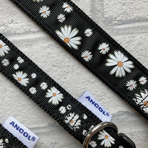 Ancol Daisy Collar