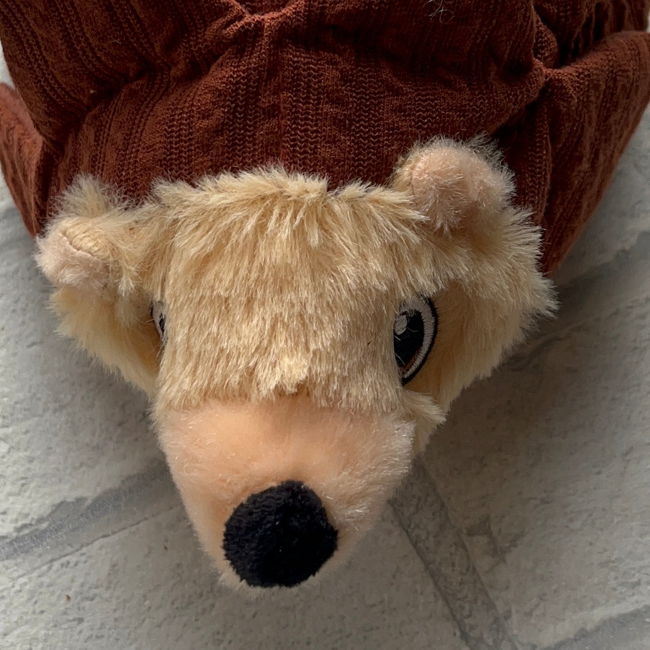 Kong Layerz Forage Hedgehog