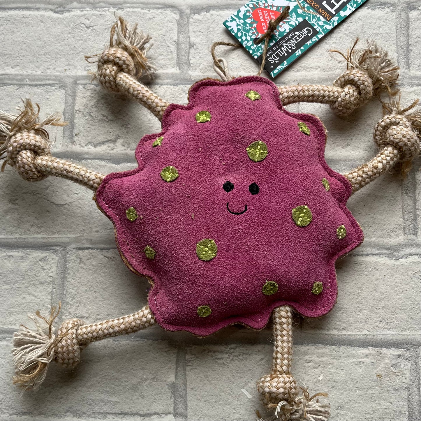 Splat Eco Toy - Green and Wilds