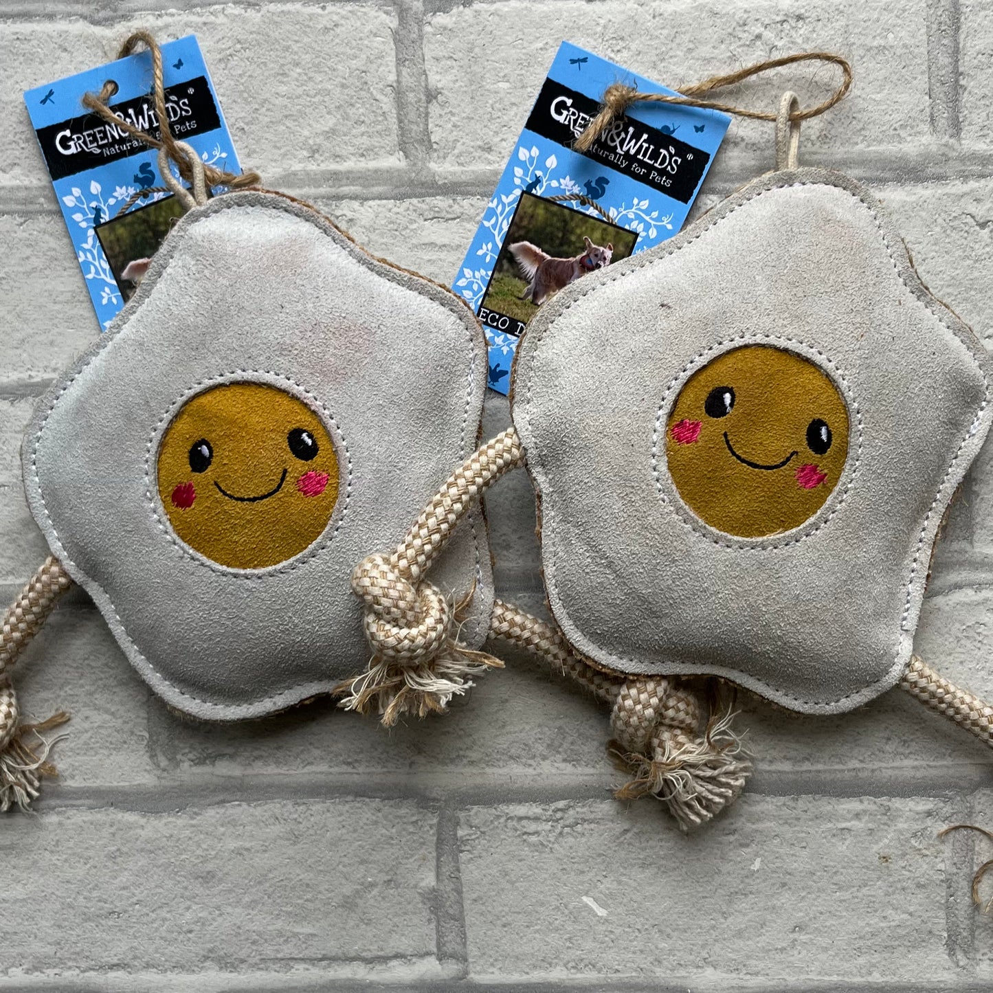 Eggy Eco Toy - Green and Wilds