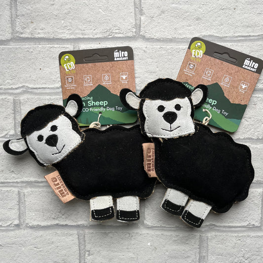 Sean Sheep Eco Friendly Dog Toy