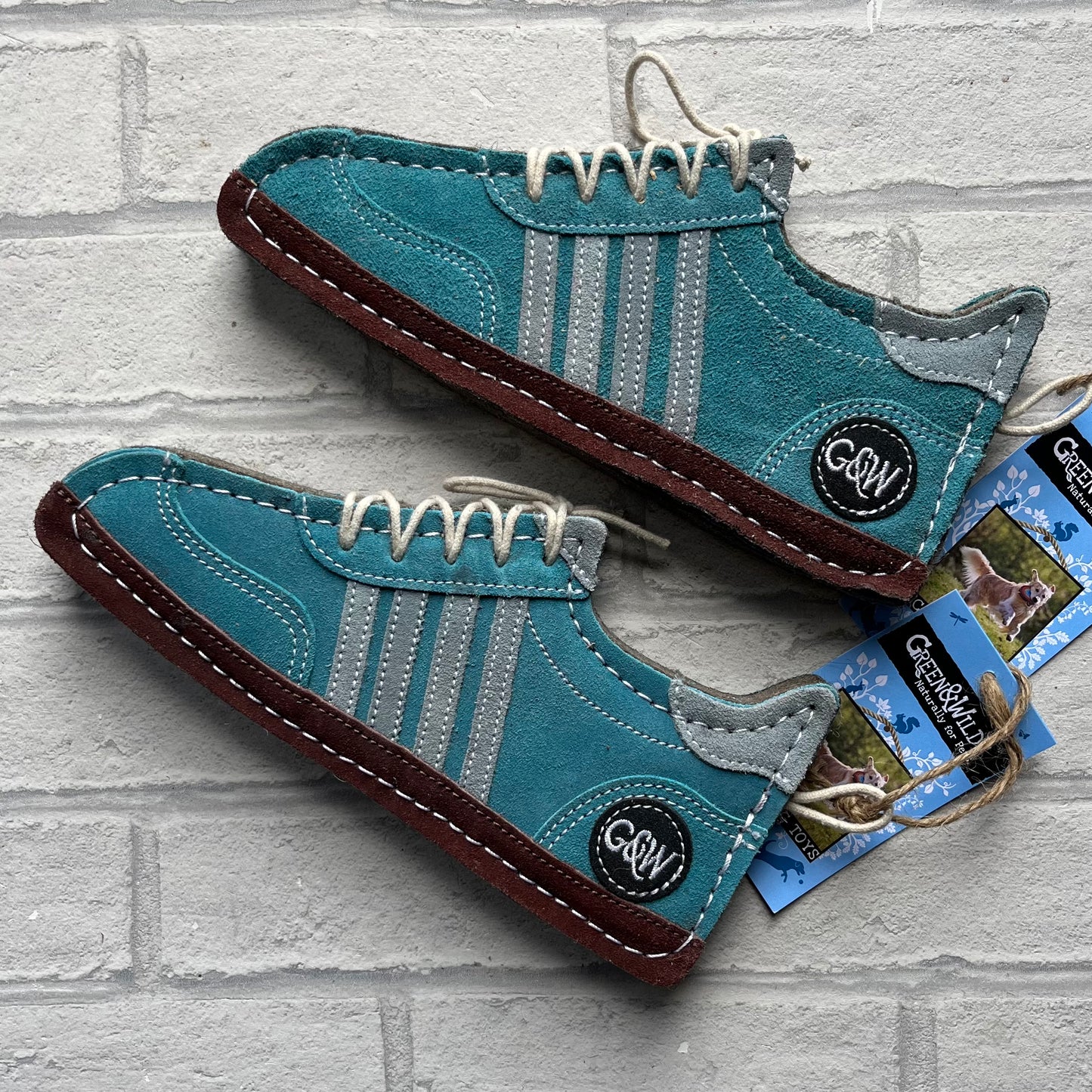 Andi Gaz Trainer - Green & Wilds Eco Toy