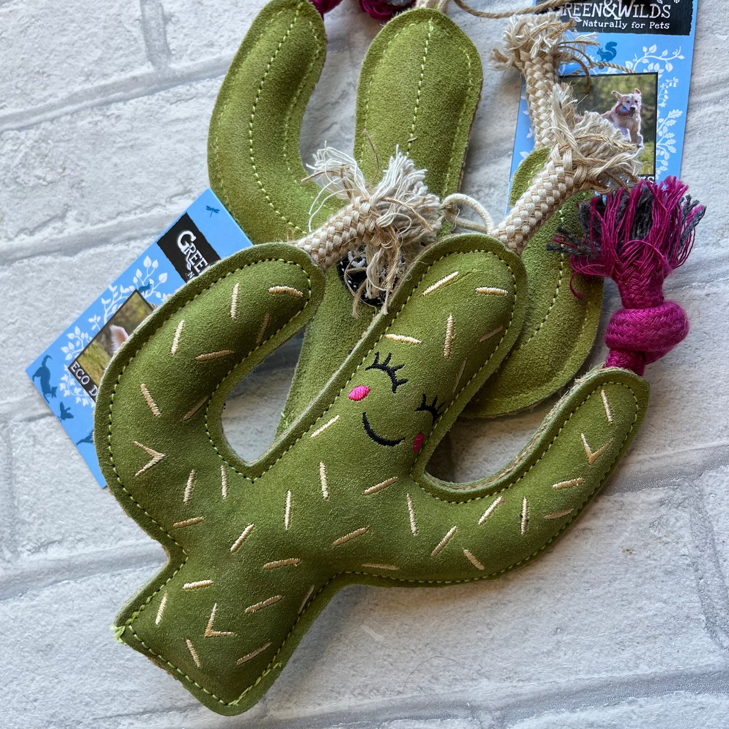 Carmen the Cactus Eco Toy - Green and Wilds
