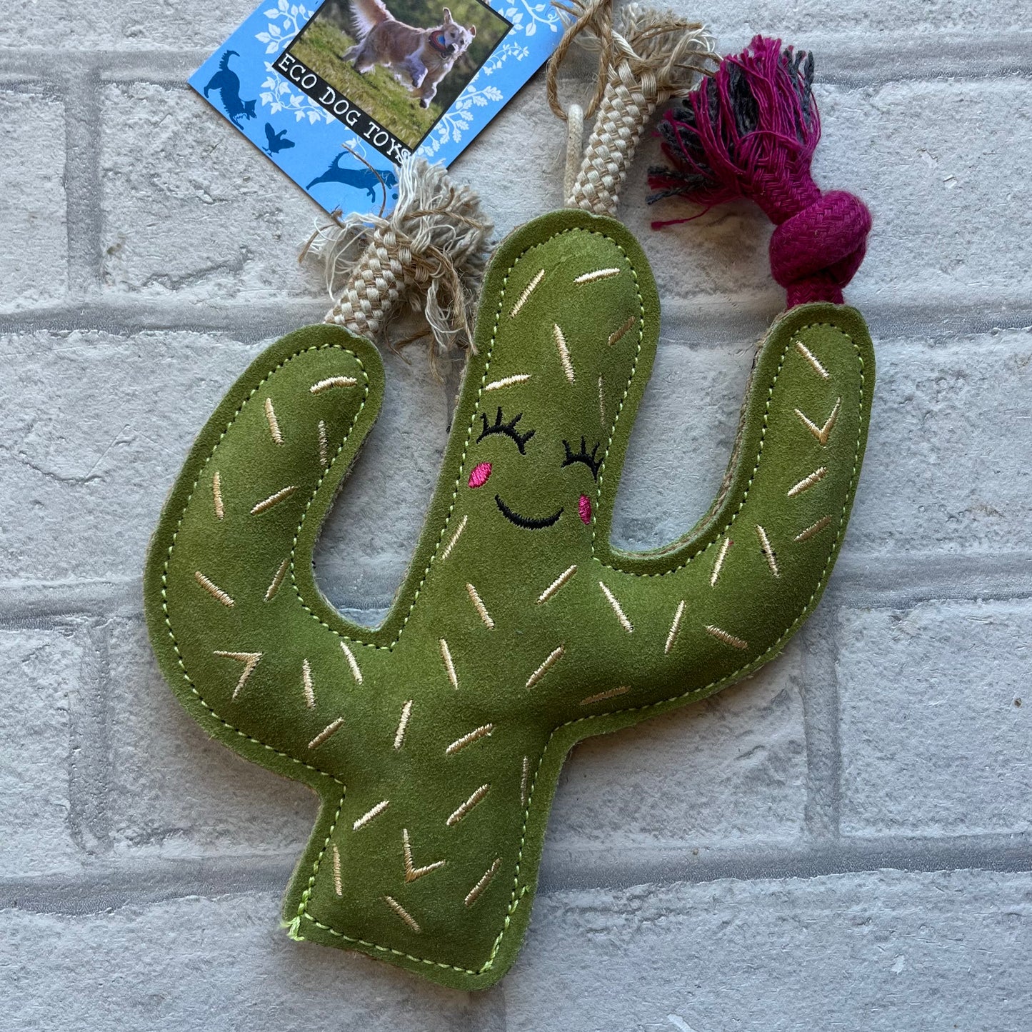 Carmen the Cactus Eco Toy - Green and Wilds