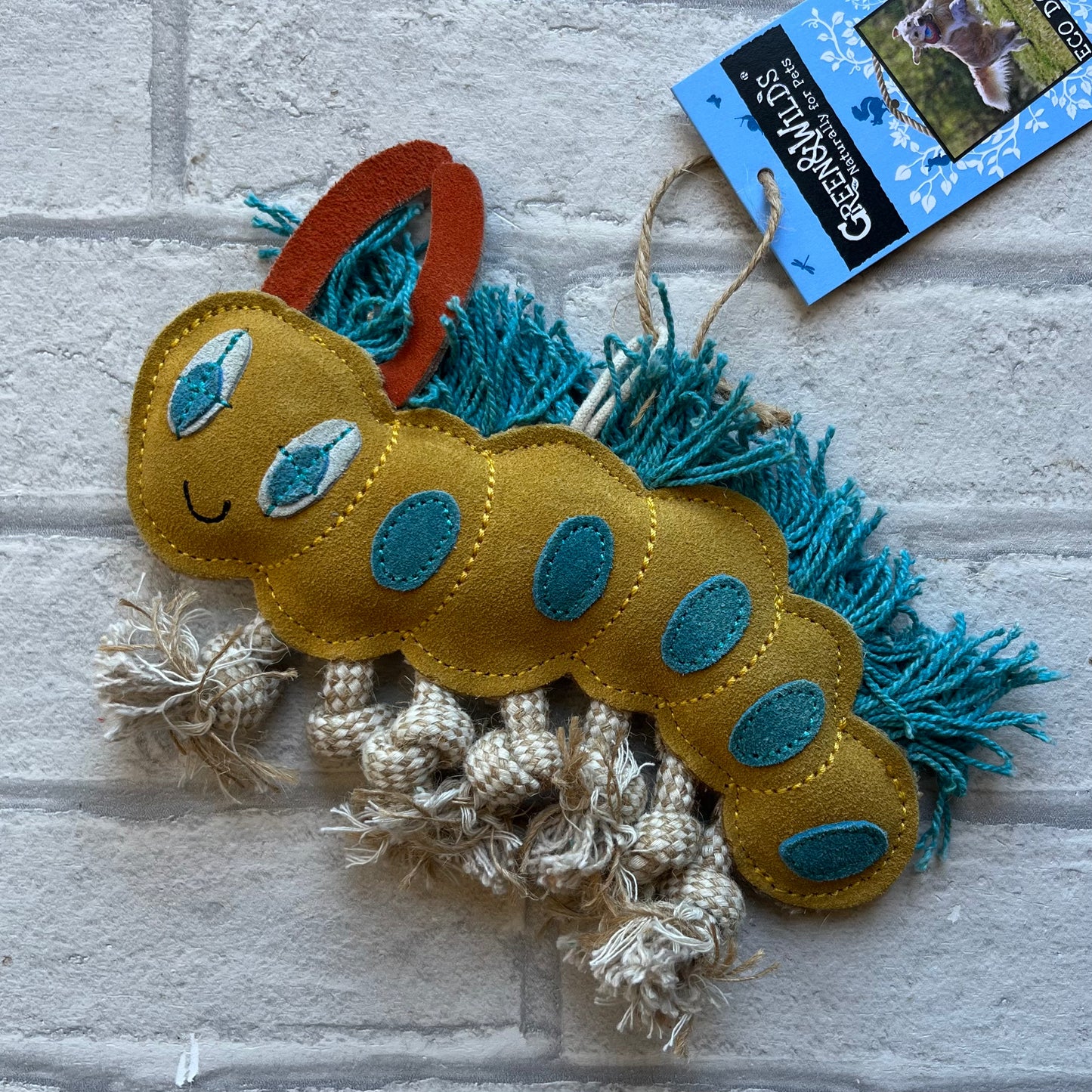 Clara the Caterpillar Eco Toy - Green and Wilds