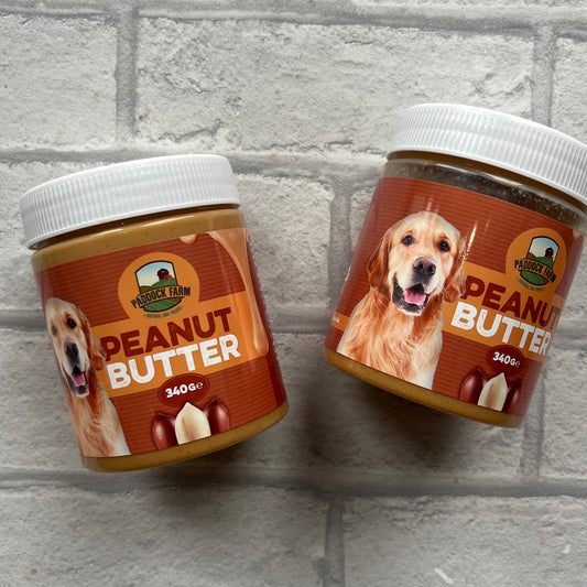 Peanut Butter for Dogs
