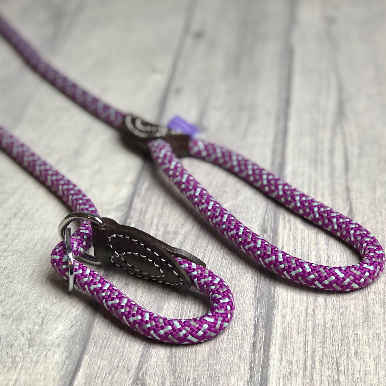 Slip Lead - Purple and Mint
