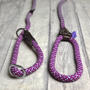 Slip Lead - Purple and Mint