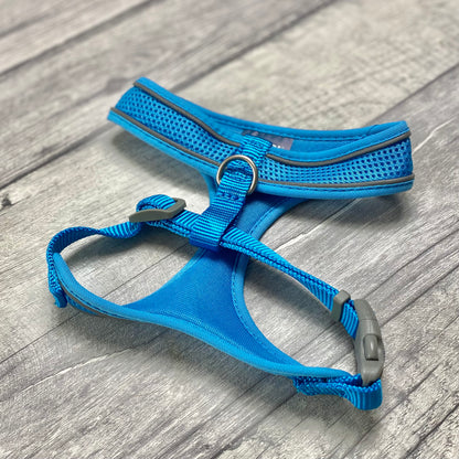 Comfort Harness