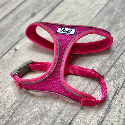 Comfort Harness