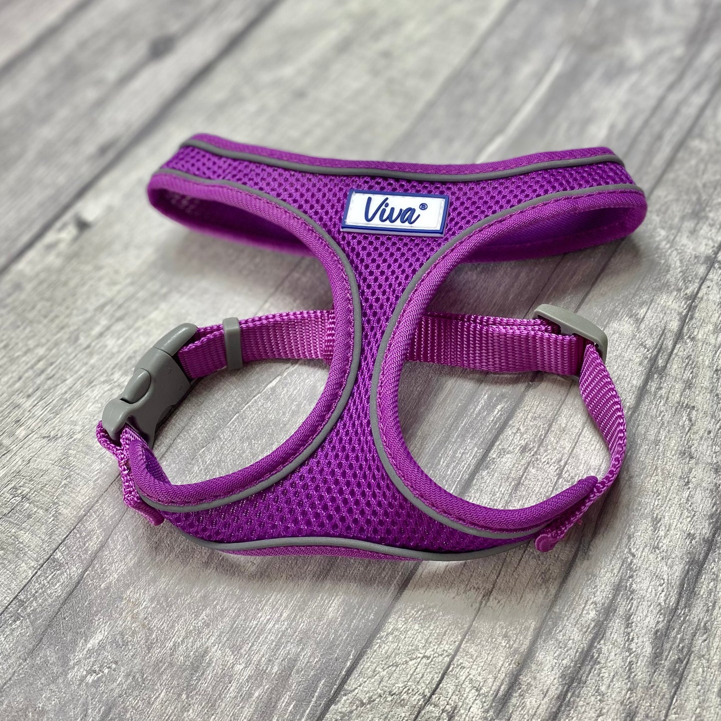 Comfort Harness