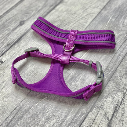 Comfort Harness
