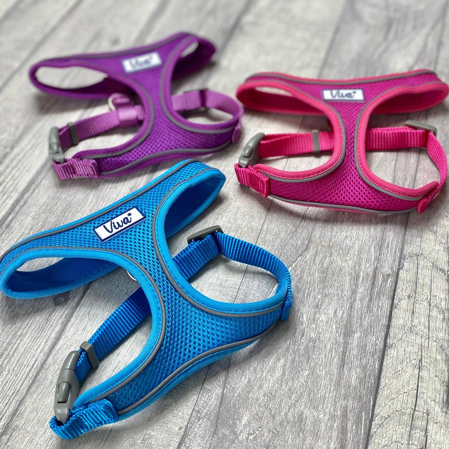 Comfort Harness